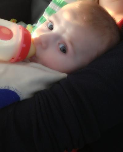 Bild zu Cybex sirona - Forum für August - Mamis