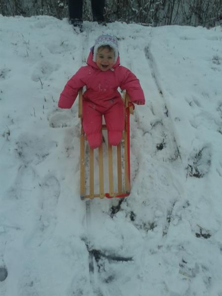 Bild zu