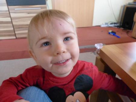 Bild zu