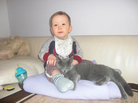 Bild zu