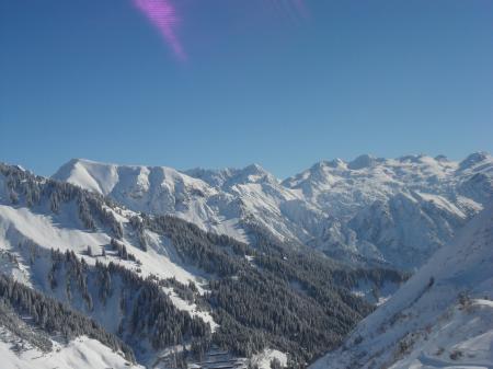 Bild zu 