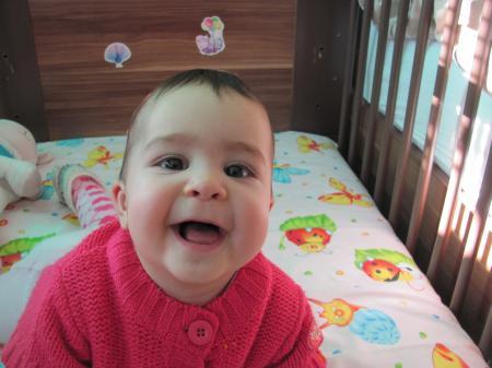 Bild zu 