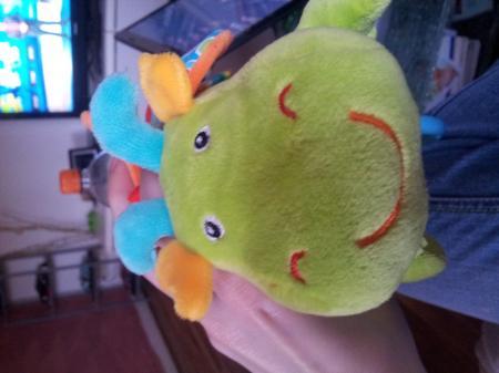 Bild zu 