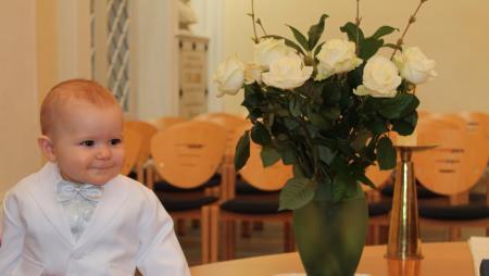 Bild zu 