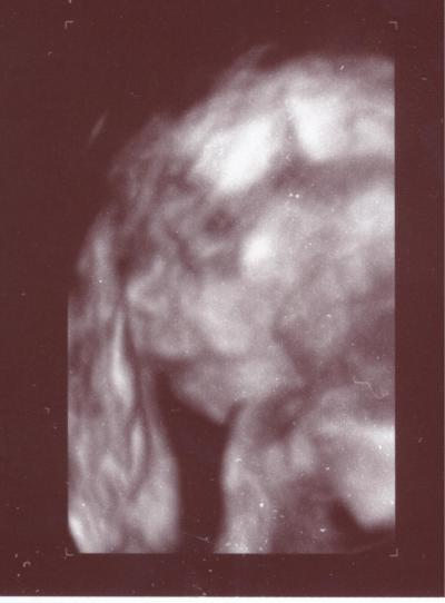 Bild zu mein kleiner Hugo... - Forum für August - Mamis