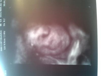 Bild zu Hier ein 3D Bild von meiner Maus.... - Forum für August - Mamis