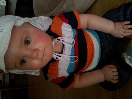 Bild zu 