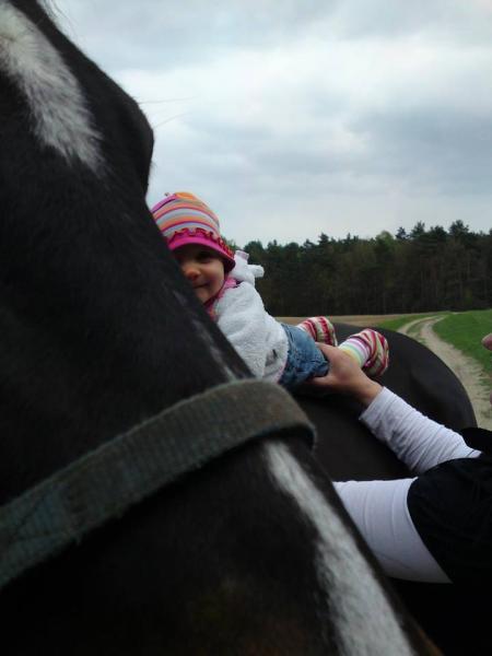 Bild zu 