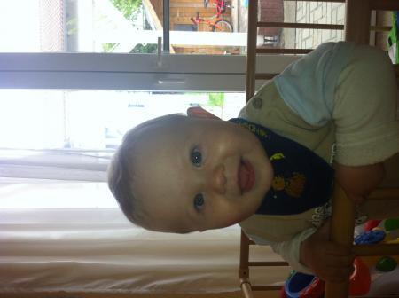 Bild zu