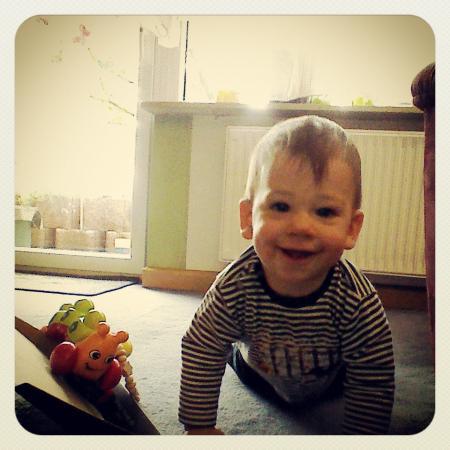 Bild zu