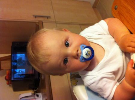 Bild zu 