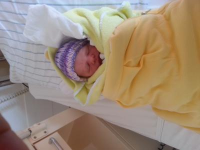 Bild zu geschlüpft bei et -4 - Forum für August - Mamis