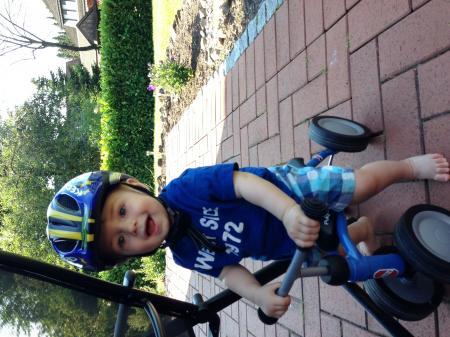Bild zu 