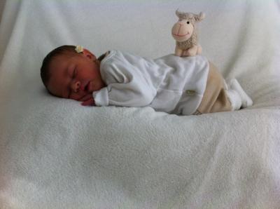 Bild zu Meine Motte < 3 < 3 !! - Forum für August - Mamis