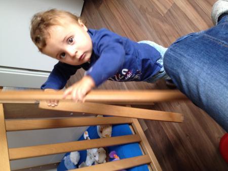 Bild zu 