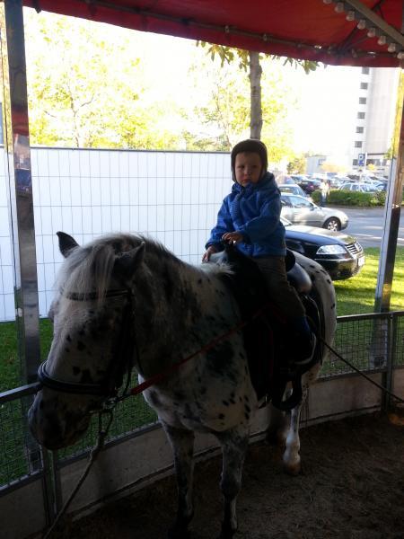 Bild zu