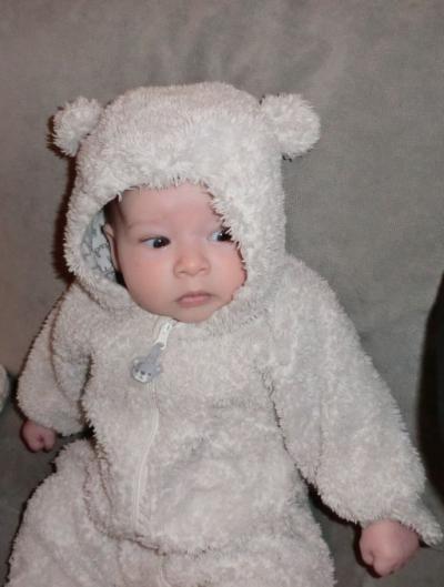 Bild zu Tyler 10 wochen alt morgen ;) Hallo an alle ;) - Forum für August - Mamis