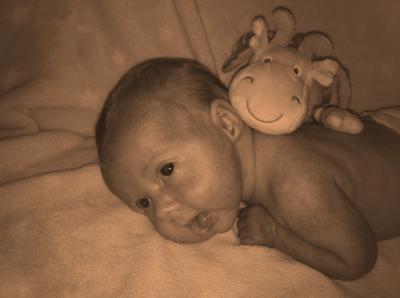 Bild zu Brei und Bauchweh - Forum für August - Mamis