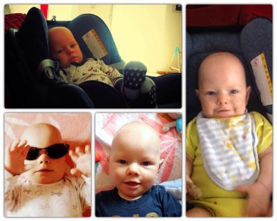 Bild zu Immer wieder sonntags....Zwergenrunde - Forum für August - Mamis