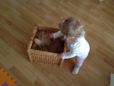 Bild zu Zwergenrunde - Forum für August - Mamis