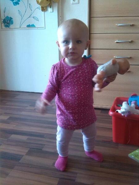 Bild zu
