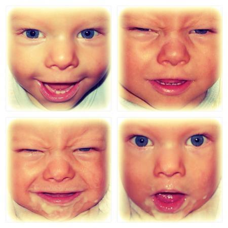 Bild zu 