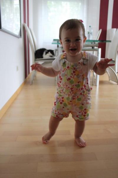 Bild zu 
