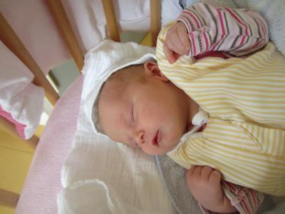 Bild zu Wieder zu Hause - Forum für August - Mamis