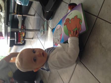 Bild zu