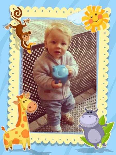 Bild zu 