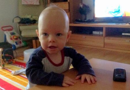 Bild zu