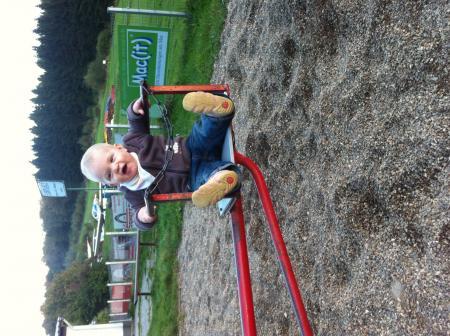 Bild zu