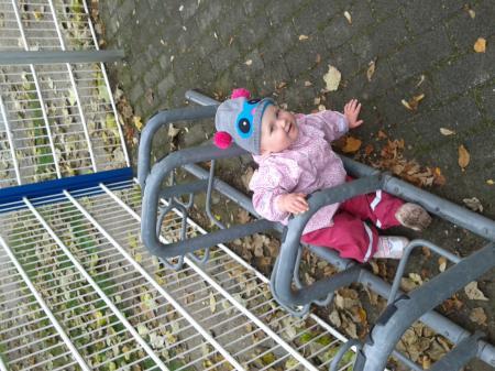 Bild zu