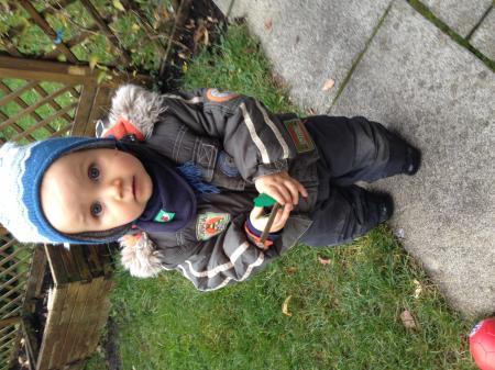 Bild zu