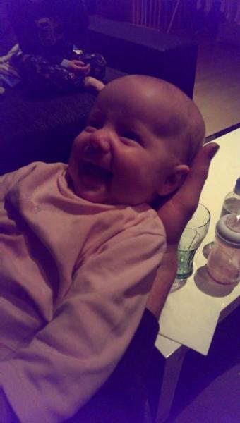 Bild zu