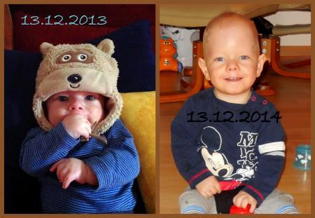 Bild zu