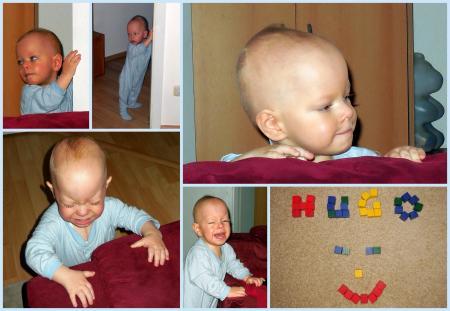Bild zu