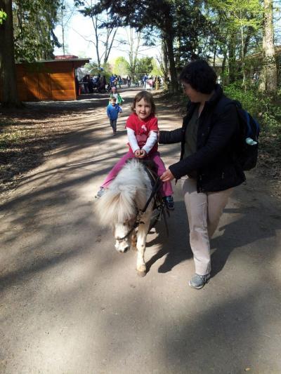 Bild zu Reise bericht - Forum für August - Mamis