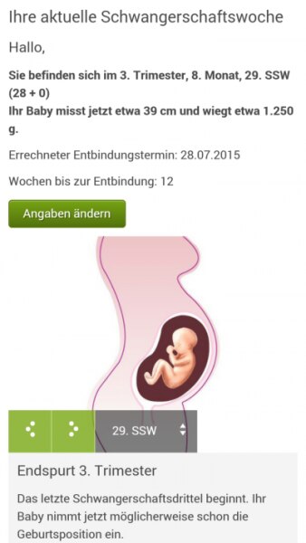 Bild zu 29 ssw - Forum für August - Mamis