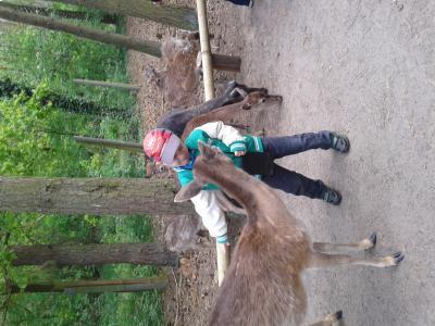 Bild zu Tierpark. .. - Forum für August - Mamis