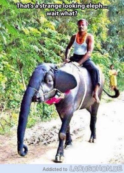 Bild zu Puschi - Forum für August - Mamis