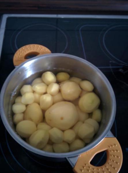 Bild zu Ausbeute beim BioBauern gestern - Forum für August - Mamis