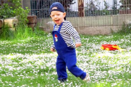 Bild zu 