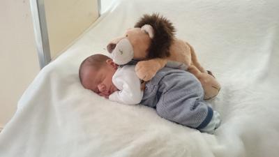 Bild zu Linus Finley 10. August - Forum für August - Mamis