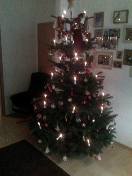 Bild zu