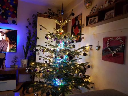 Bild zu