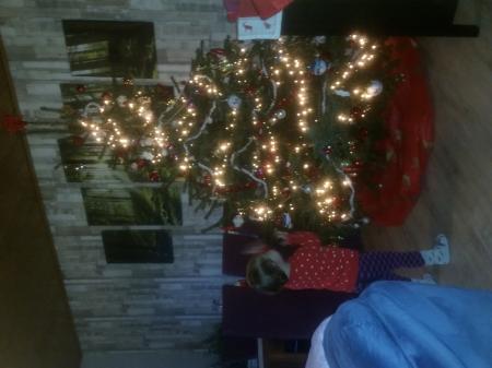 Bild zu
