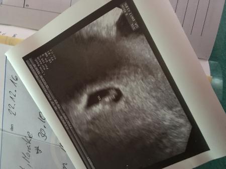 Bild zu Vorstellung - Forum für August - Mamis