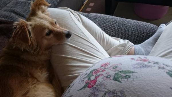 Bild zu Hunde - Forum für August - Mamis