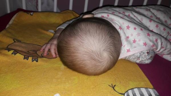 Bild zu